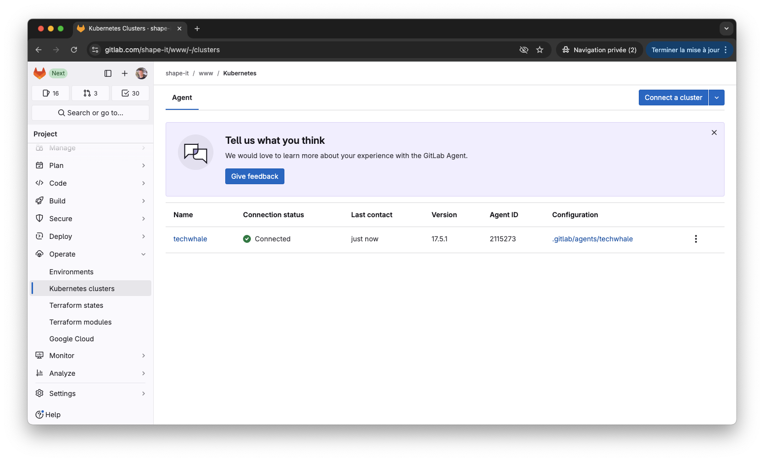 GitLab agent