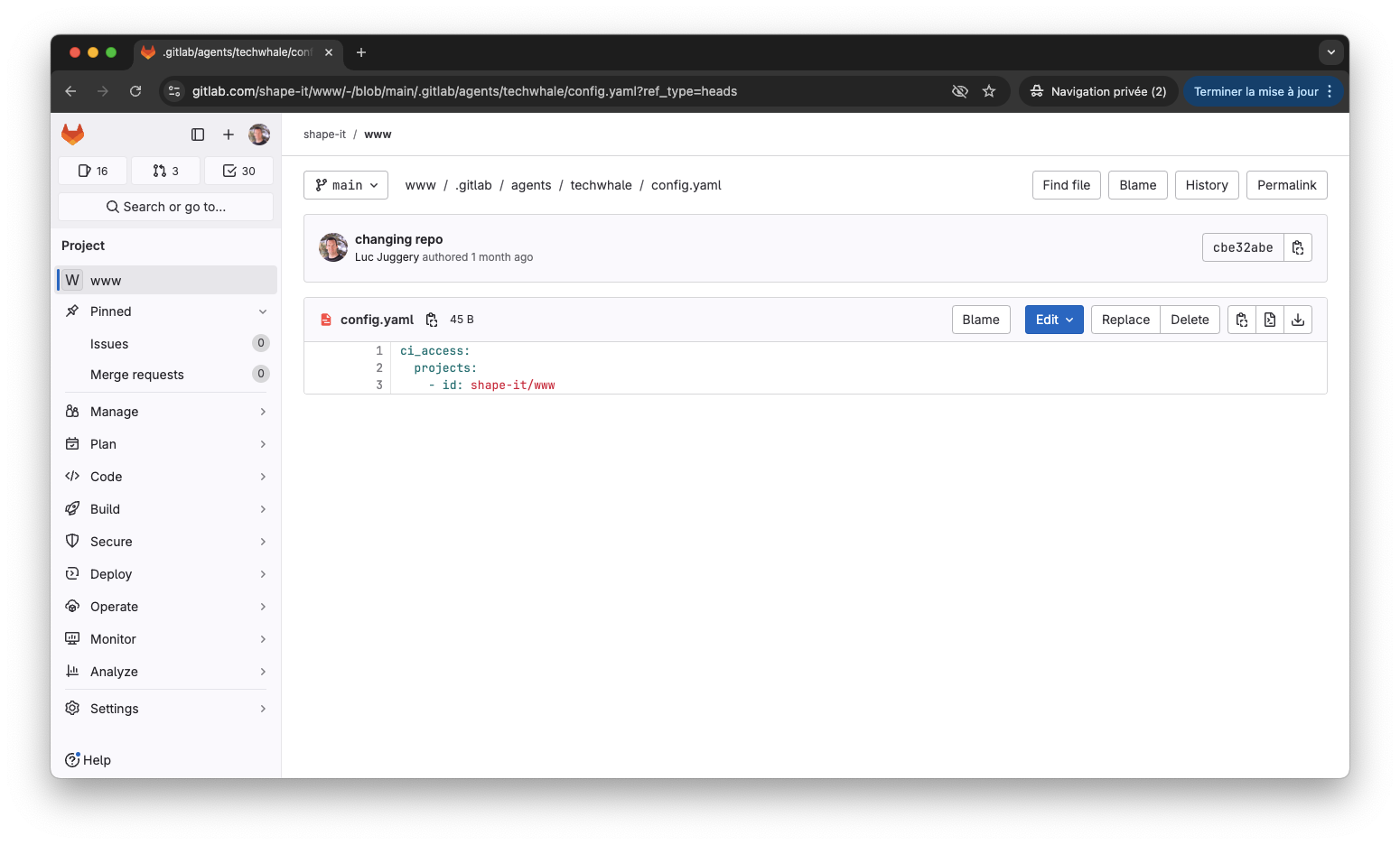 GitLab agent